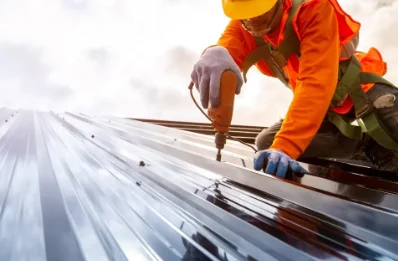 Travaux de zinguerie à Langrolay-sur-Rance
